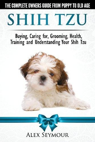 Shih tzu dogs - dogs,