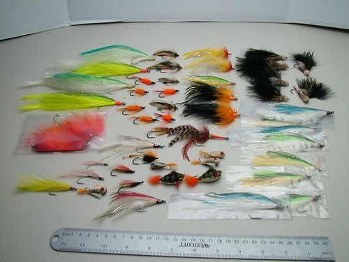 Saltwater steelhead bass - 40,