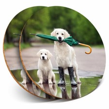 2 x Coasters - Golden Retriever Labrador Dogs Home Gift #15644