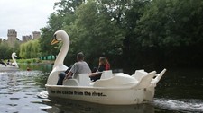 Swan Pedalo Pedal Boat for