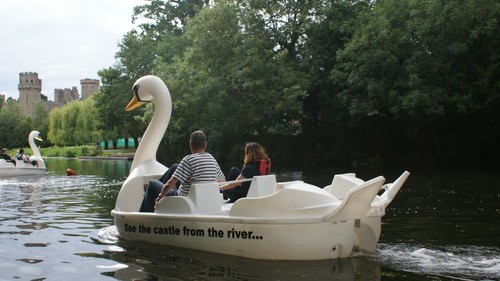 Swan pedalo pedal - pedalo, boat