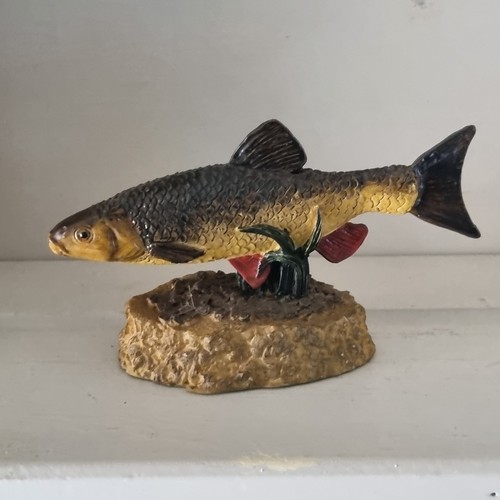 Chub the anglers - anglers, showcase