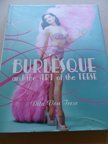 Burlesque and the - art,