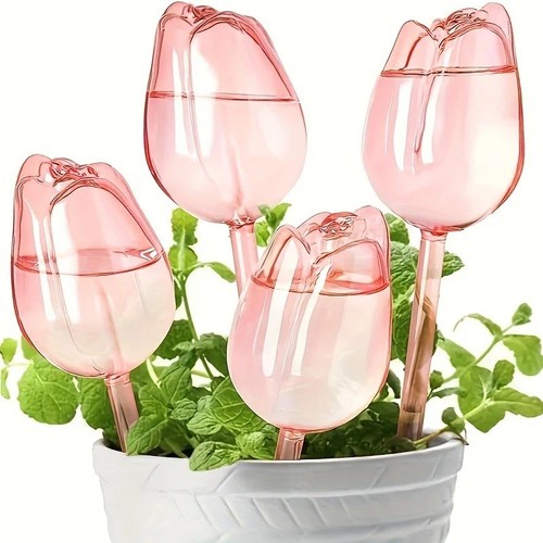 Pink tulip plant watering - pink,