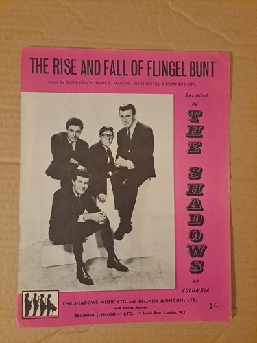 The shadows rise fall - the, &