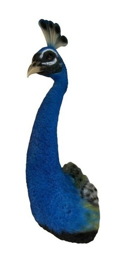 Blue male peacock wall - blue, bust