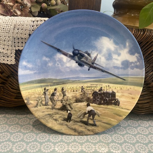Collectors plate royal doulton - collectors,