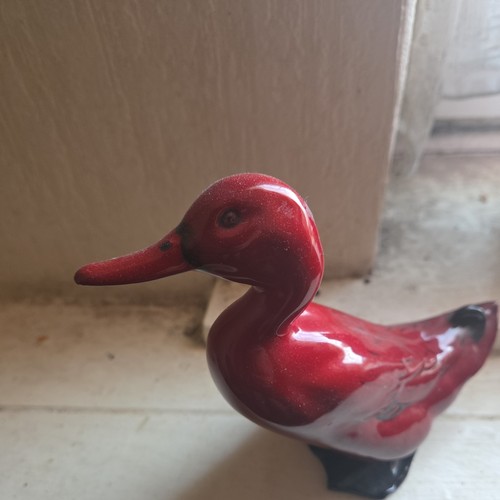 Royal doulton flambe - doulton, duck