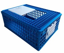 BLUE CHICKEN TRANSPORT 4H SHOW