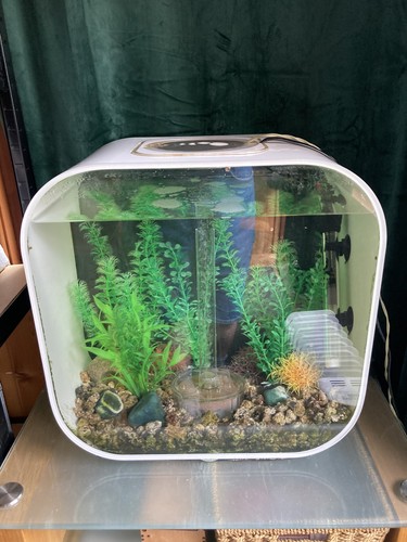 Biorb life aquarium fish - biorb,