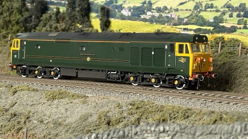 Accurascale class 50007 - accurascale,