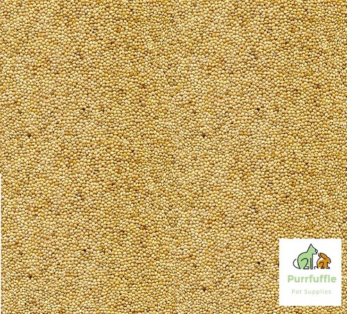 20kg white millet bird - millet, seed