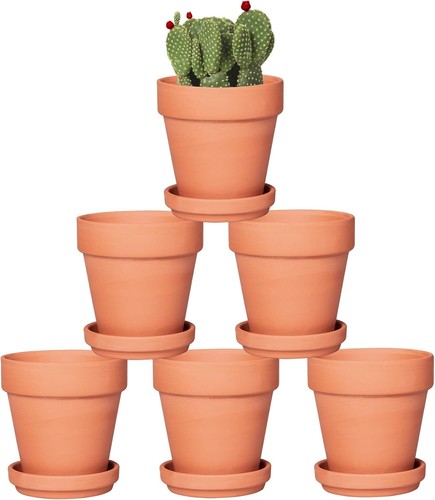 Inch terracotta pots with - 4,
