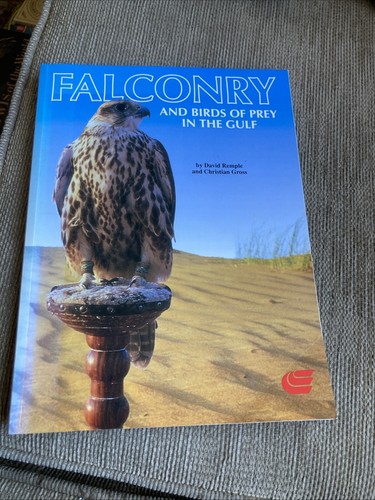 Falconry and birds prey - falconry, of
