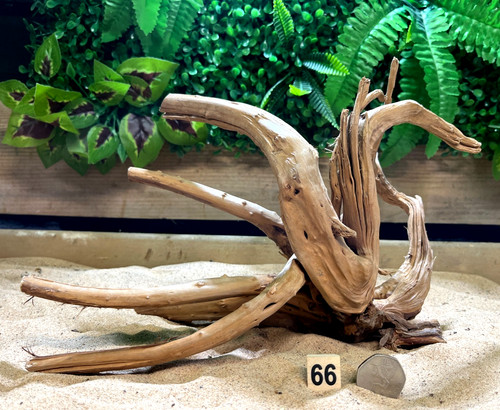 Claro slim wood - slim, aquarium