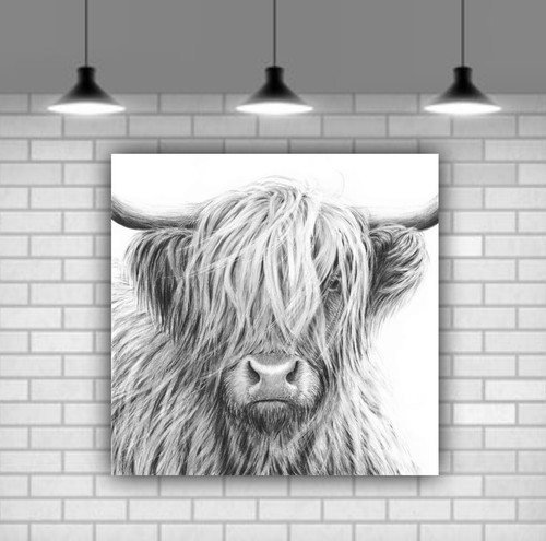 Grey highland cow wall - highland,