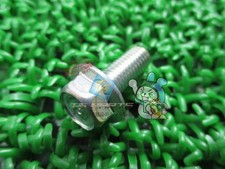 Address 110 Rear Carrier Bolt