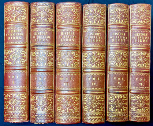 Rev morris history british - morris,