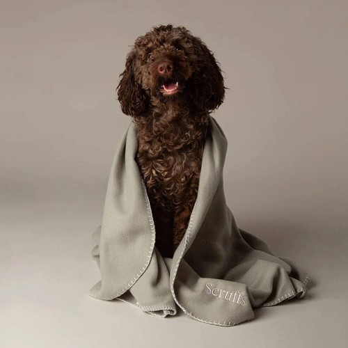 Scruffs expedition fleece pet - scruffs,