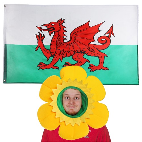 Davids welsh daffodil hat - daffodil,