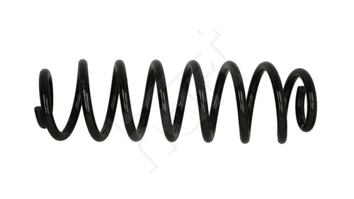 Rear suspension spring - suspension,