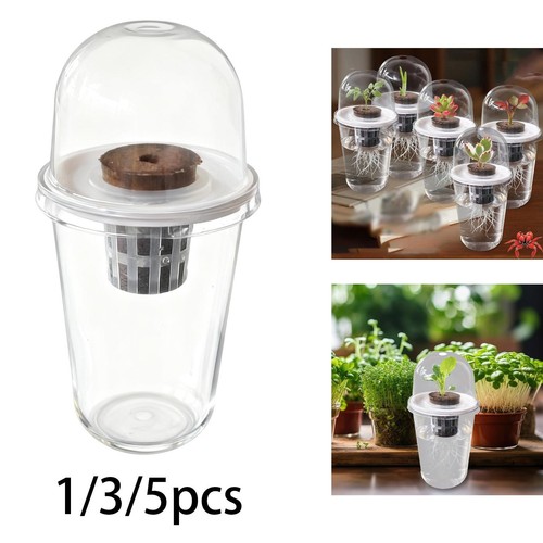 Hydroponics growing system - growing,