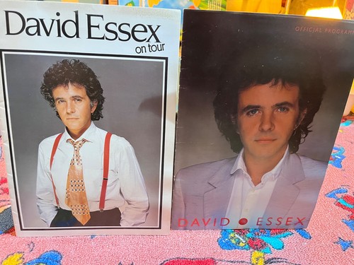 David essex concert programmes - essex,