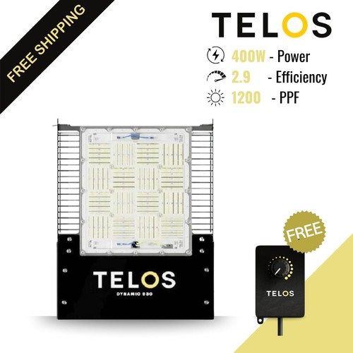 Telos led dynamic - led, /