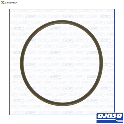 Vacuum pump gasket - gasket, 16058800