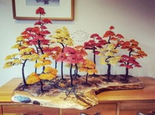 Wire Bonsai Tree Forest In