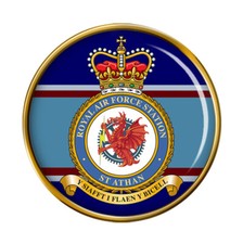RAF Station St Athan Pin Badge