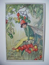 Vtg Flower Fairies Print &