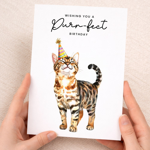 Bengal cat birthday - bengal, –