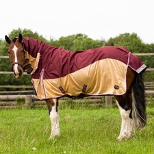 Gallop Equestrian Trojan Xtra
