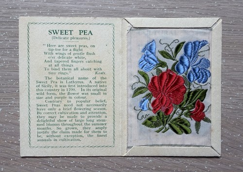 Kensitas wix flowers - a,