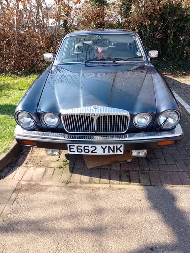 1987 daimler double - daimler,