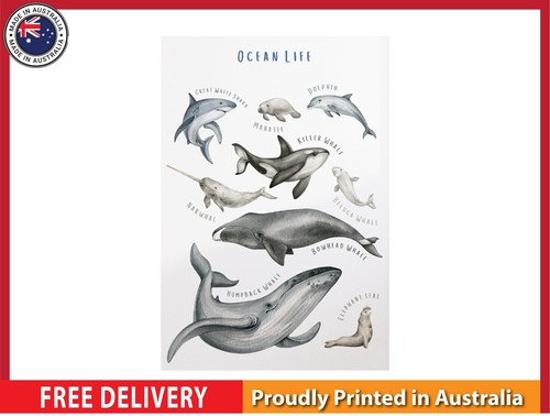 New ocean animals - new,