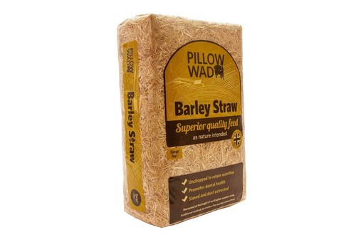 Barley straw pet - pet, food