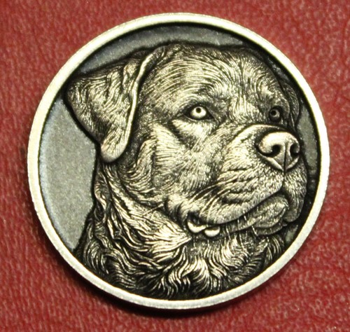Hobo nickel rottweiler dog - nickel,