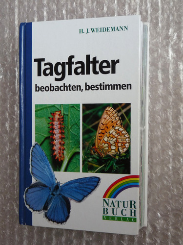 Tagfalter beobachten