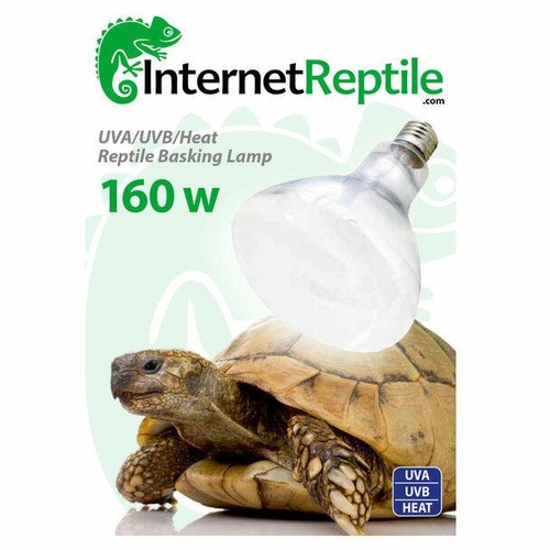 Internet reptile mercury - internet,