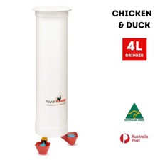 ROYAL ROOSTER Chicken /