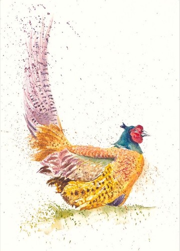 Pheasant wildlife print - pheasant,