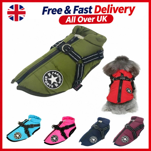 Dog coat waterproof - dog,