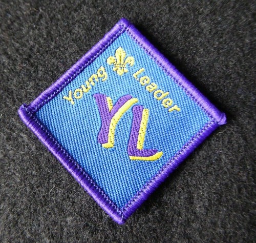 Vintage scout explorer - explorer, young