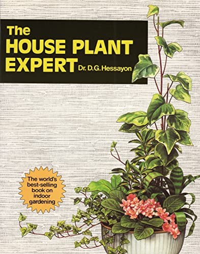 The house plant - plant, expert