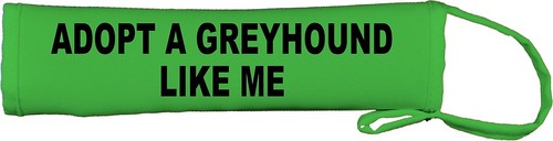 Adopt greyhound like dog - a,