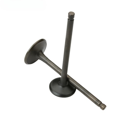 Intake and exhaust valves for - intake,