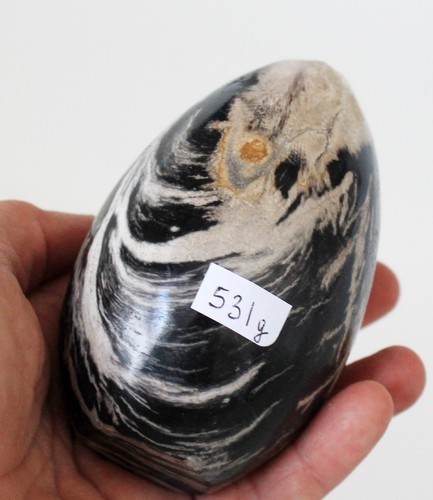 Fossil wood petrified - fossil,