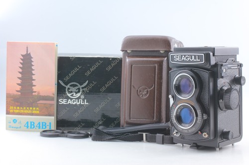 Unused seagull 4b 1 - ▶️[unused],